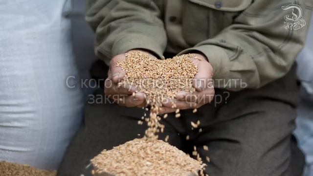 Выплата закятуль фитр смотреть онлайн