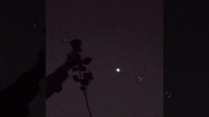 С тобой я буду родная по жизни рядом – remix ²⁰²¹