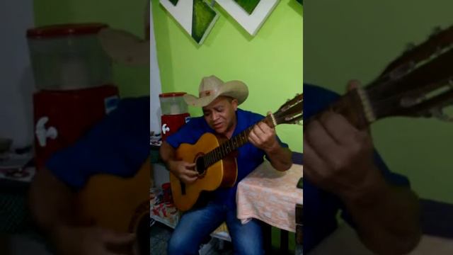 homenagem do zé rico eneias donize смотреть онлайн