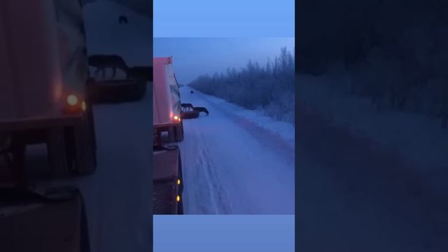 Как менять колесо? #дальнобой #шофера #дальнобойщики #зима #якутия