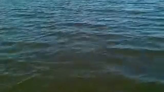 рыбалка в приобье 2012