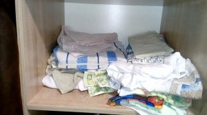 Как избавиться от моли в квартире