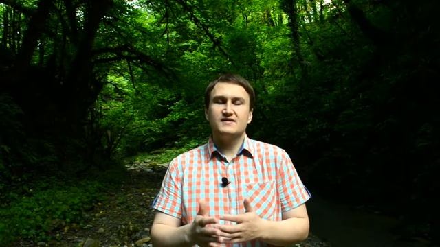 Отзыв о веб студии Империя, создание сайтов в Костроме смотреть онлайн