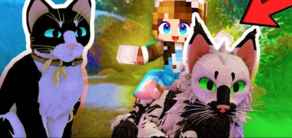 КОТЫ ВОИТЕЛИ РОБЛОКС! СТАЛИ КОТАМИ НА 24 ЧАСА! КРОЛЯ БАФФИ и КОТ МАЛЫШ ИГРАЮТ в Warrior Cats ROBLOX