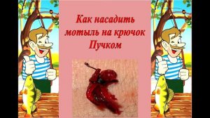 Как насадить мотыль на крючок пучком
