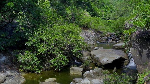 Relieve Stress So You Can Sleep Instantly | Relax Waterfall Sounds | River Sounds for Sleeping смотреть онлайн