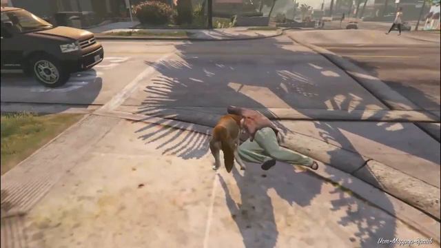 Как стать собакой в GTA 5 смотреть онлайн