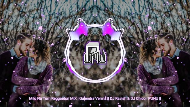 Milo Na Tum Reggaeton MiX | Gajendra Verma || DJ Ravish & DJ Chico | PUNU || смотреть онлайн