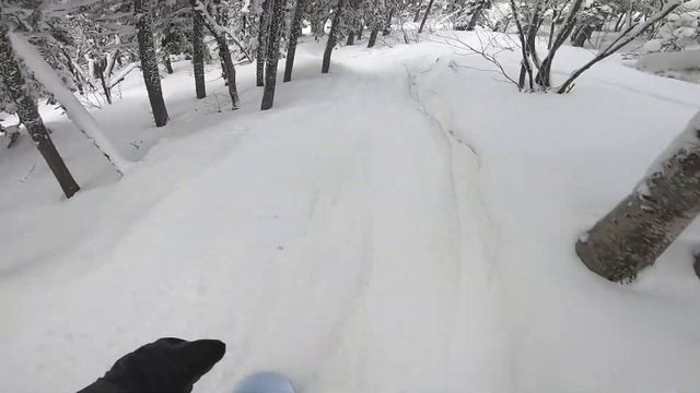 Шерегеш. Спуск по вело трассе на сноуборде. СЕКТОР Е смотреть онлайн