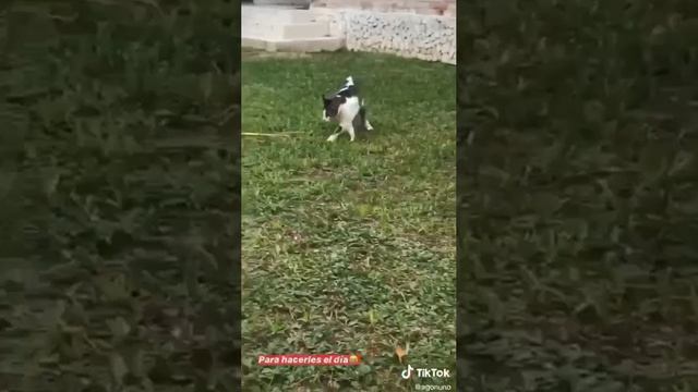 навел суеты )