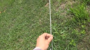 ГЕНИАЛЬНОЕ ПРОСТО Подвязка деревьев Новый способ Формирование кроны дерева