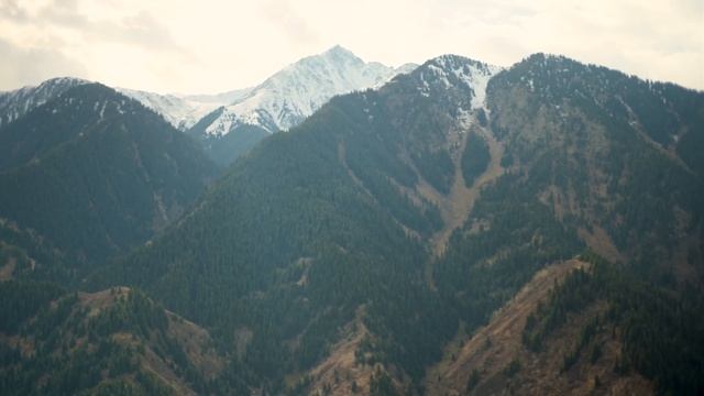 Японская дорога с "Алматы поход" смотреть онлайн