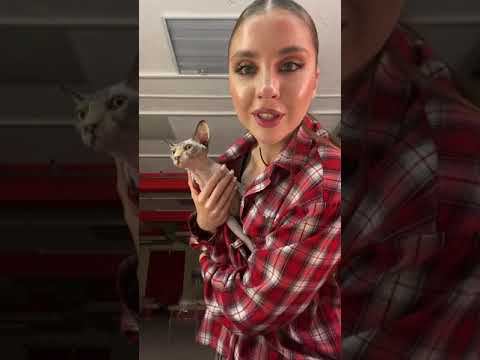 Екатерина Квашникова ПРЯМОЙ ЭФИР 08.06.24 смотреть онлайн