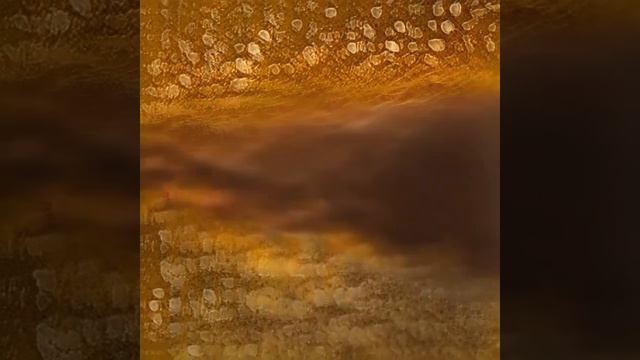 Нейронка Павла Совушкина. Знаменное пение. Русский Север. #AI #Этическиеполиобразы #этика