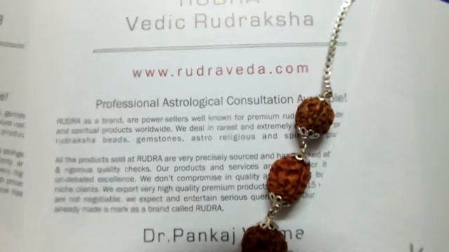 1 To 14 Mukhi GS Rudraksha Siddha Mala Of Java Indonesian Origin  Www Rudraveda Com