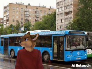 Поездка на автобусе Лиаз 5292 .65 ООО Трансавтолиз 9215304 маршрут #63