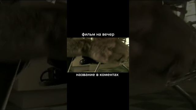Дом восковых фигур (2005г.). смотреть онлайн
