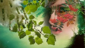 ТОПОЛЬ И РЯБИНА - В. Семин и гр. Белый день