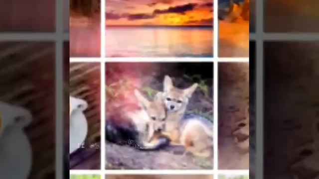 Как менять имя и фото на ютюб смотреть онлайн