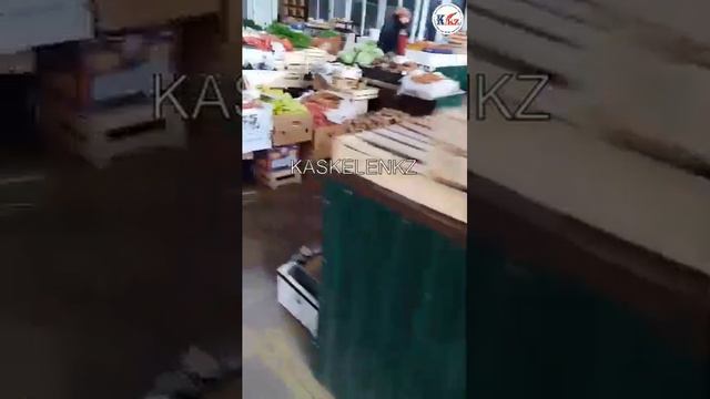 Қаскелеңде лимон мен имбирь қанша тұрады? #каскеленкз #kaskelenkz смотреть онлайн