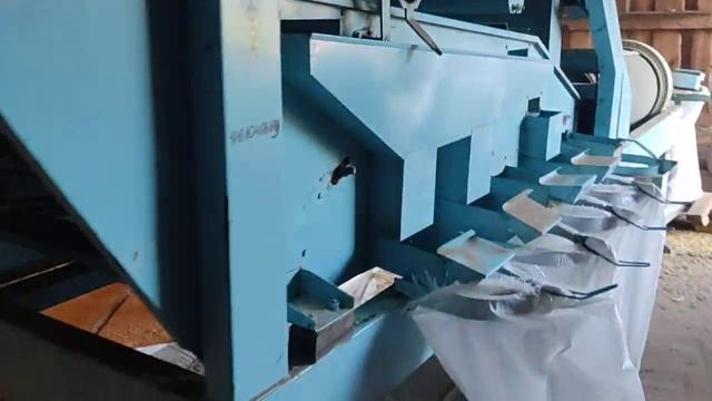 Сортировка ячменя petkus gigant k 531. Петкус гигант К 531. Яровой ячмень. Питомник размножения. смотреть онлайн