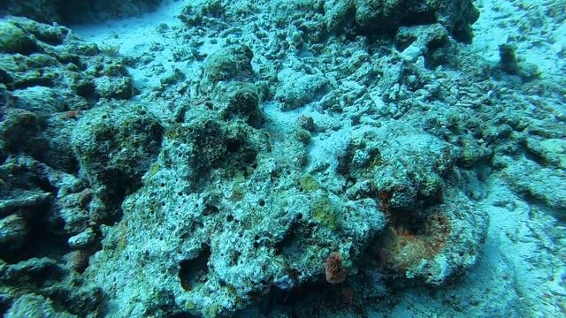 Остров Маврикий.Великолепный дайвинг на северном побережье.Октябрь2019 смотреть онлайн