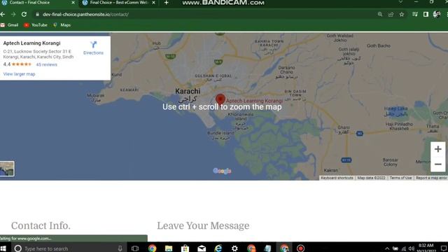 Wordpress Website Final Choice Full Responsive and Hosting website in Panthionic io #ecom website смотреть онлайн
