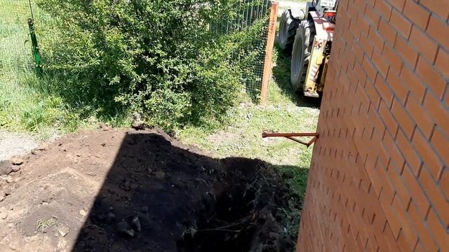 Цветы, вода и лягушачий хор смотреть онлайн