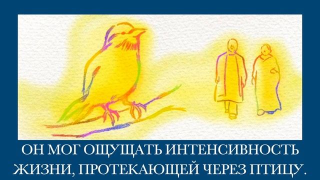 Великий Сострадательный Свет Шри Амма Багаван. Медитация 9 смотреть онлайн
