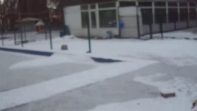 Белые лебеди на белом снегу, маскировка смотреть онлайн