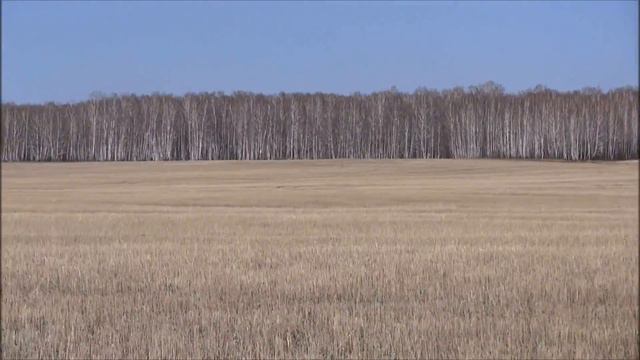 Взяли дополнительно примерно 200 Га / Запаримся поле топтать :) смотреть онлайн