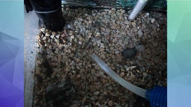 Островок для черепахи своими руками смотреть онлайн