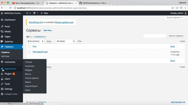 WP Фрэймворк Alethemes #6. Добавляем новый Post Type. Уроки WordPress смотреть онлайн
