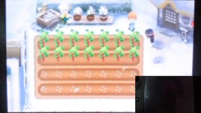 Harvest Moon (3DS): The Tale of Two Towns (S2) Part33 "Moon Stone in Due and Last Power Up" смотреть онлайн