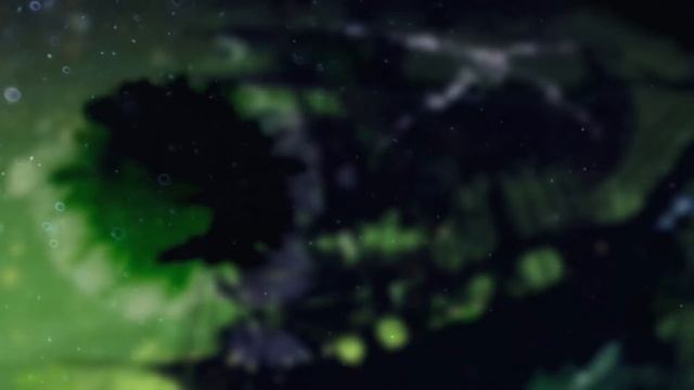 Правда о загадочном странствующем корабле была раскрыта