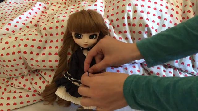 Обзор на PULLIP MERL.