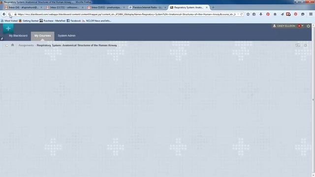 NCLOR Objects in Blackboard- Firefox Browser смотреть онлайн