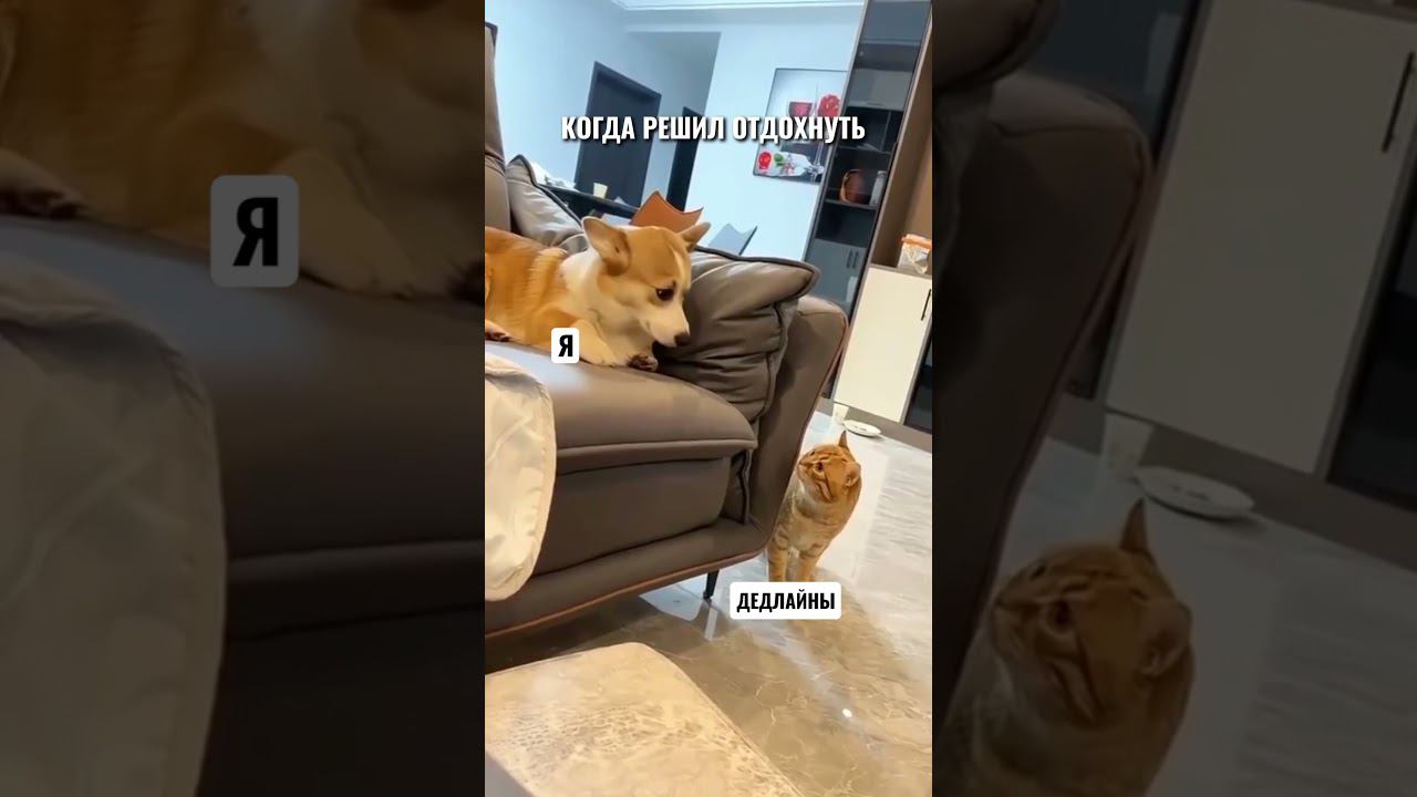 У кого так же? #flyvideo смотреть онлайн