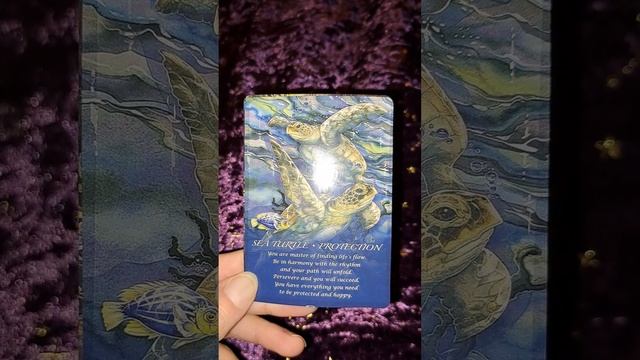 Spirit of the Animals. Subscribe for more x смотреть онлайн