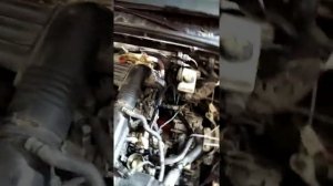 Приехала octavia- течь антифриза.