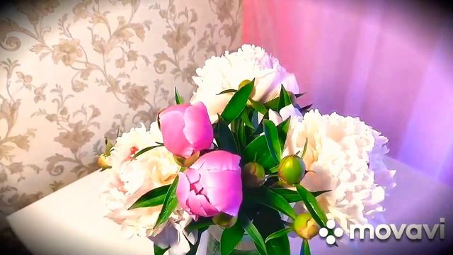 ТАЙМЛАПС. (пионы, запись 72 часа)??? смотреть онлайн