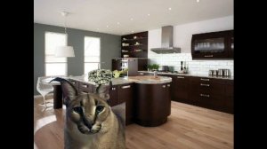 шлепа сбежал. 1 серия