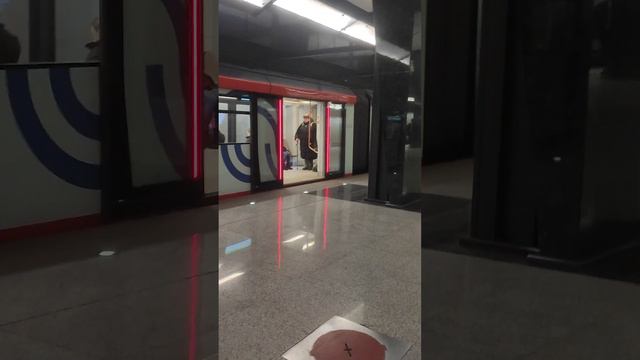 Два поезда Москва 2020 на станции Петровский Парк.