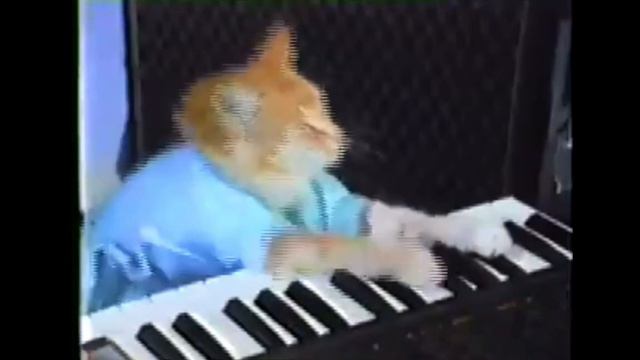 Котик играет на пианино 🎹 смотреть онлайн
