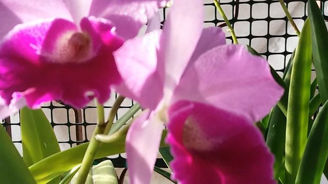 Как повысить влажность смотреть онлайн