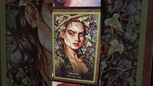 Daily Oracle Reading by Gwyn 9/28~Time to Take up Space смотреть онлайн