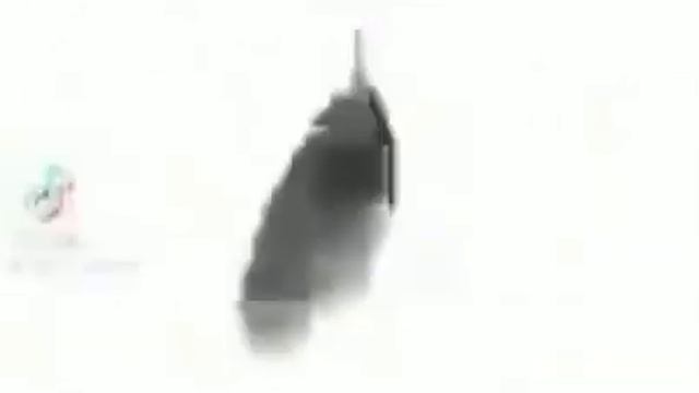 рыба крутится под рапапа 10 часов смотреть онлайн