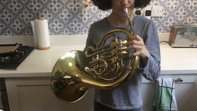 Paxman Studenti Single Bb French Horn смотреть онлайн