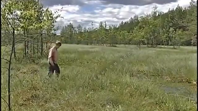 Как быть, если вы оказались на болоте. смотреть онлайн