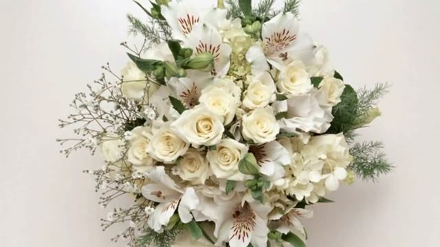 С Днем Рождения, Наталья! смотреть онлайн